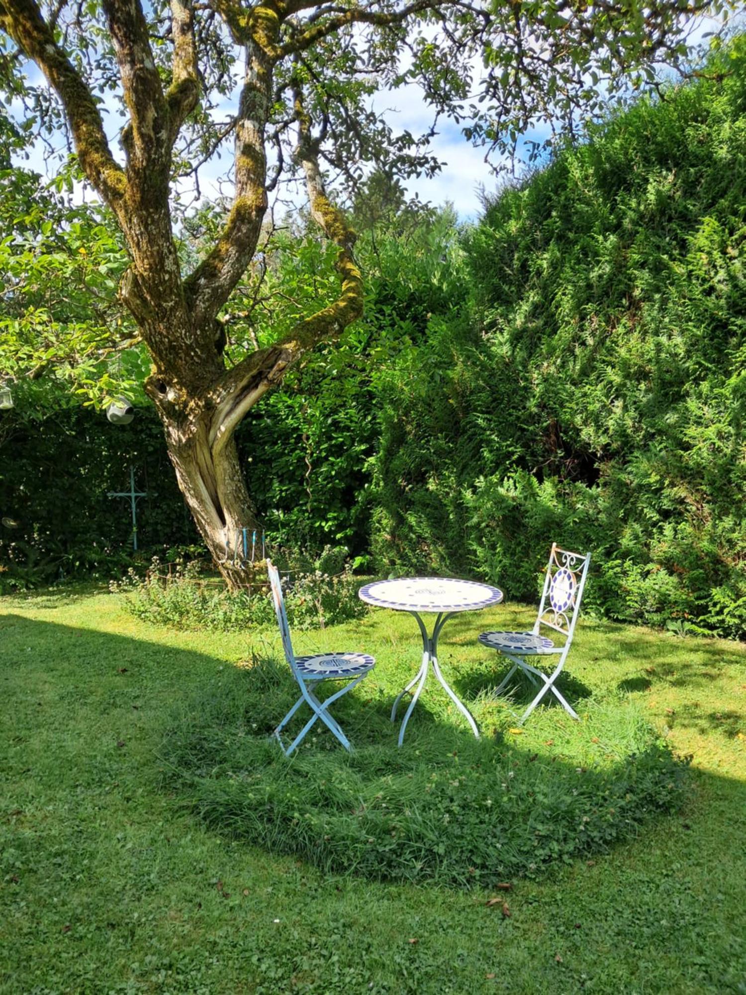 Le Buisson De La Gariole Bed & Breakfast Aubigny-sur-Nere Exterior photo